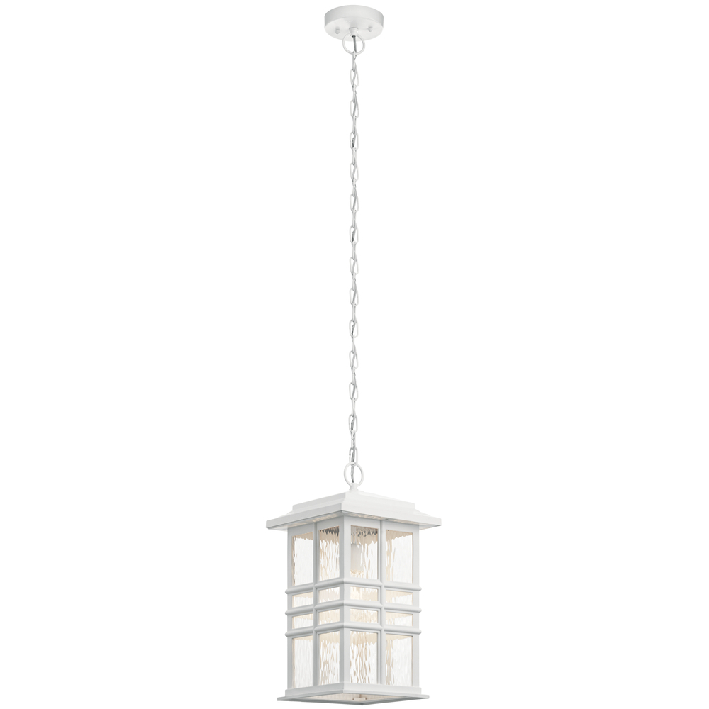 Outdoor Pendant 1Lt