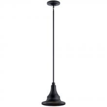 Kichler 59057BKT - Outdoor Pendant 1Lt