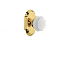 Nostalgic Warehouse 748564 - Nostalgic Warehouse Cottage Plate Single Dummy Waldorf White Milk Glass Knob in Polished Brass