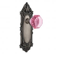 Nostalgic Warehouse 722686 - Nostalgic Warehouse Victorian Plate Single Dummy Waldorf Pink Door Knob in Antique Pewter