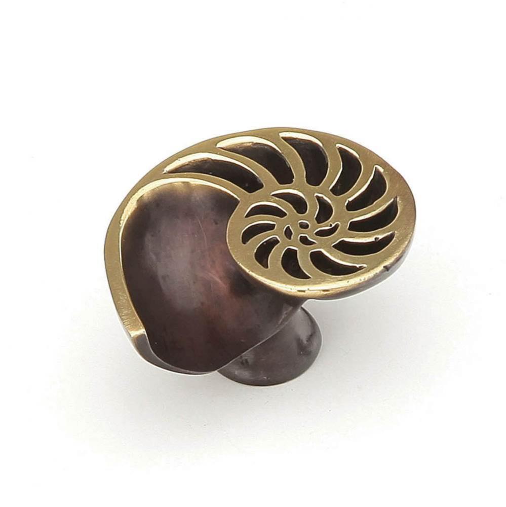 Knob, Shell, Right, Polished Brass, Dark Bronze, 1-1/2'' x 1-1/4'' dia