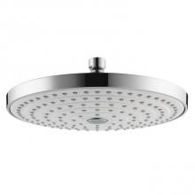 Hansgrohe 04719400 - Showerhead 240 2-Jet, 2.0 GPM