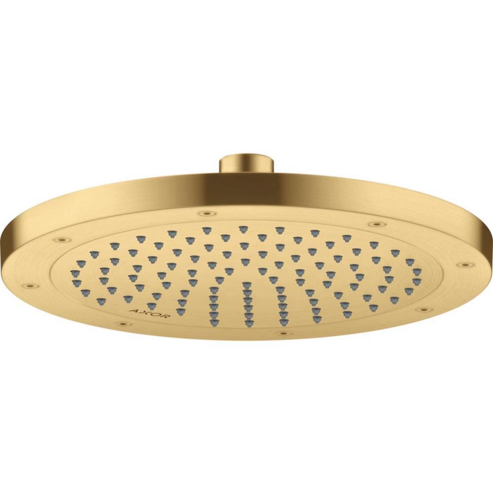 AXOR ShowerSolutions Showerhead 245 1-Jet, 1.5 GPM in Brushed Gold Optic