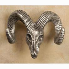 Anne At Home 122 - Bighorn skull