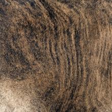 Ambella Home Collection 2100-9012-92 - Hair on Hide Exotic Golden