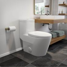 Neptune 220180-000-264-000 - Zen 4.1/6L Dual Flush Elongated One-Piece Toilet in White