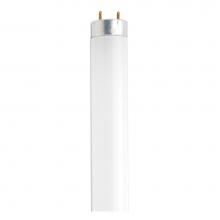 Satco S6514 - 18 Watt; T8; Fluorescent; 4100K Cool White; 62 CRI; Medium Bi Pin base