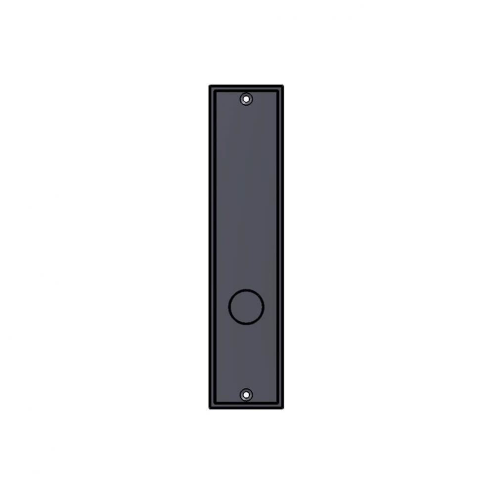 2'' x 8 3/4'' Mesa push plate.