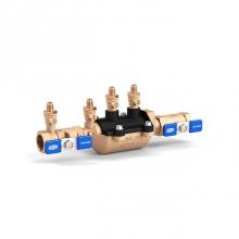 Zurn Industries 1-350LFTBS - Double Check Valve Assy, Composite Vessel, MBS THD x MBS THD, Fast Test Cocks, Less Ball Valves