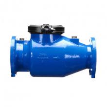 Zurn Industries 6-310DALMTC - Single Check Valve Detector Assy, Flanged x Flanged, Less Meter, TC in By-pass