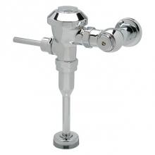 Zurn Industries Z6003PL-ULF-BG - .125 GAL URINAL VALVE W/''BG''