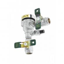 T&S Brass B-0963 - Vacuum Breaker, 1/2''NPT Inlet-Outlet, Continuous Pressure, Spill-Resistant, Field-Testa