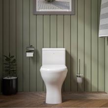 Alfi Trade TB353 - EAGO TB353 DUAL FLUSH ONE PIECE ECO-FRIENDLY HIGH EFFICIENCY LOW FLUSH CERAMIC TOILET