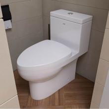 Alfi Trade TB359 - EAGO TB359 DUAL FLUSH ONE PIECE ECO-FRIENDLY HIGH EFFICIENCY LOW FLUSH CERAMIC TOILET