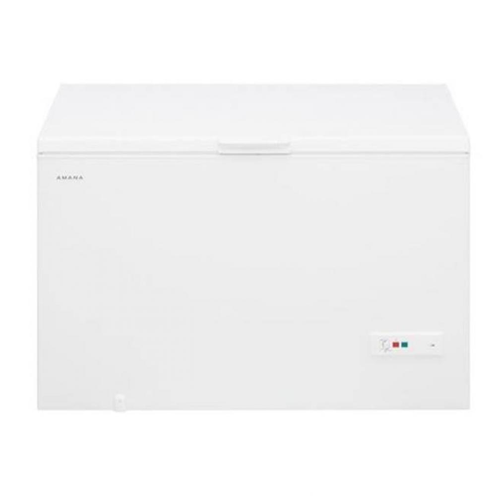 16 cu. ft. Chest Freezer