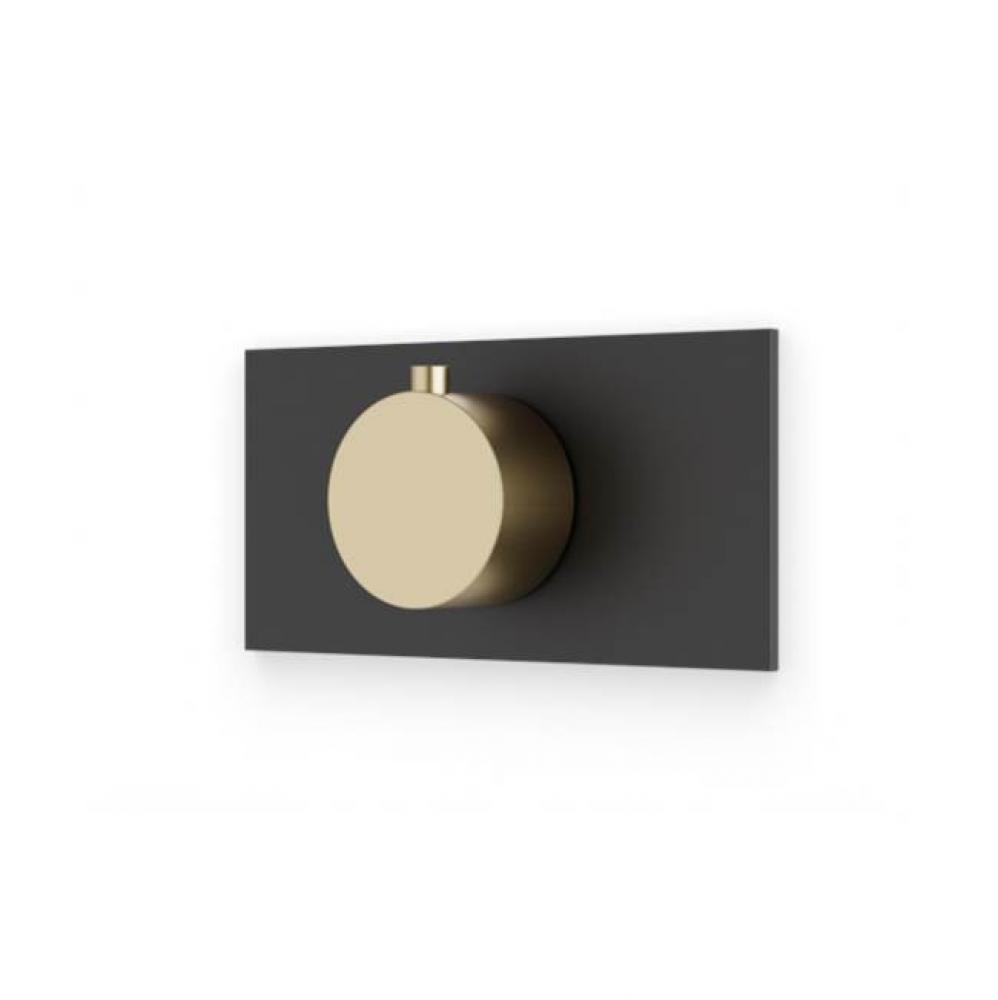 Square & Round Thermostat Trim Kit with Letterbox Plate Satin Brass/Matte Black