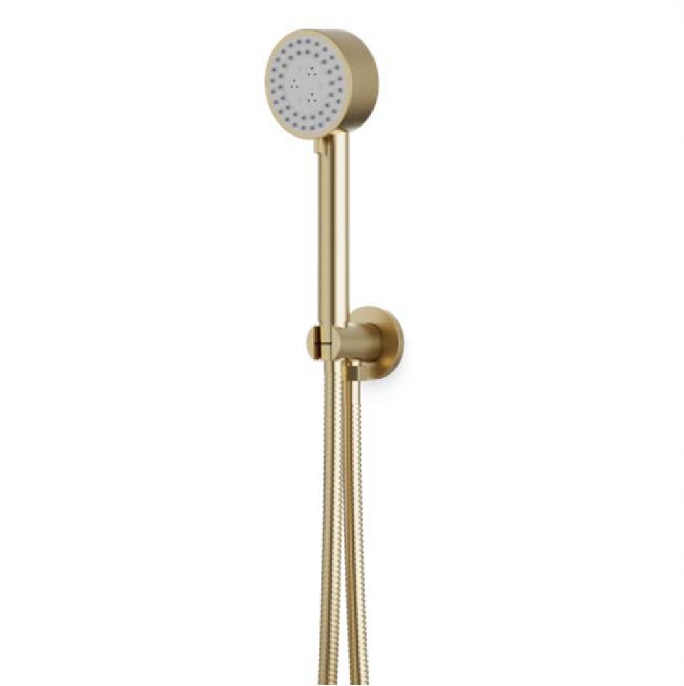 Multi Function Flexible Hose Shower Kit, Satin Brass