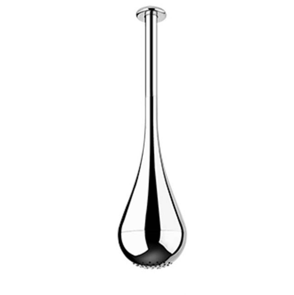 Ceiling-mounted shower head