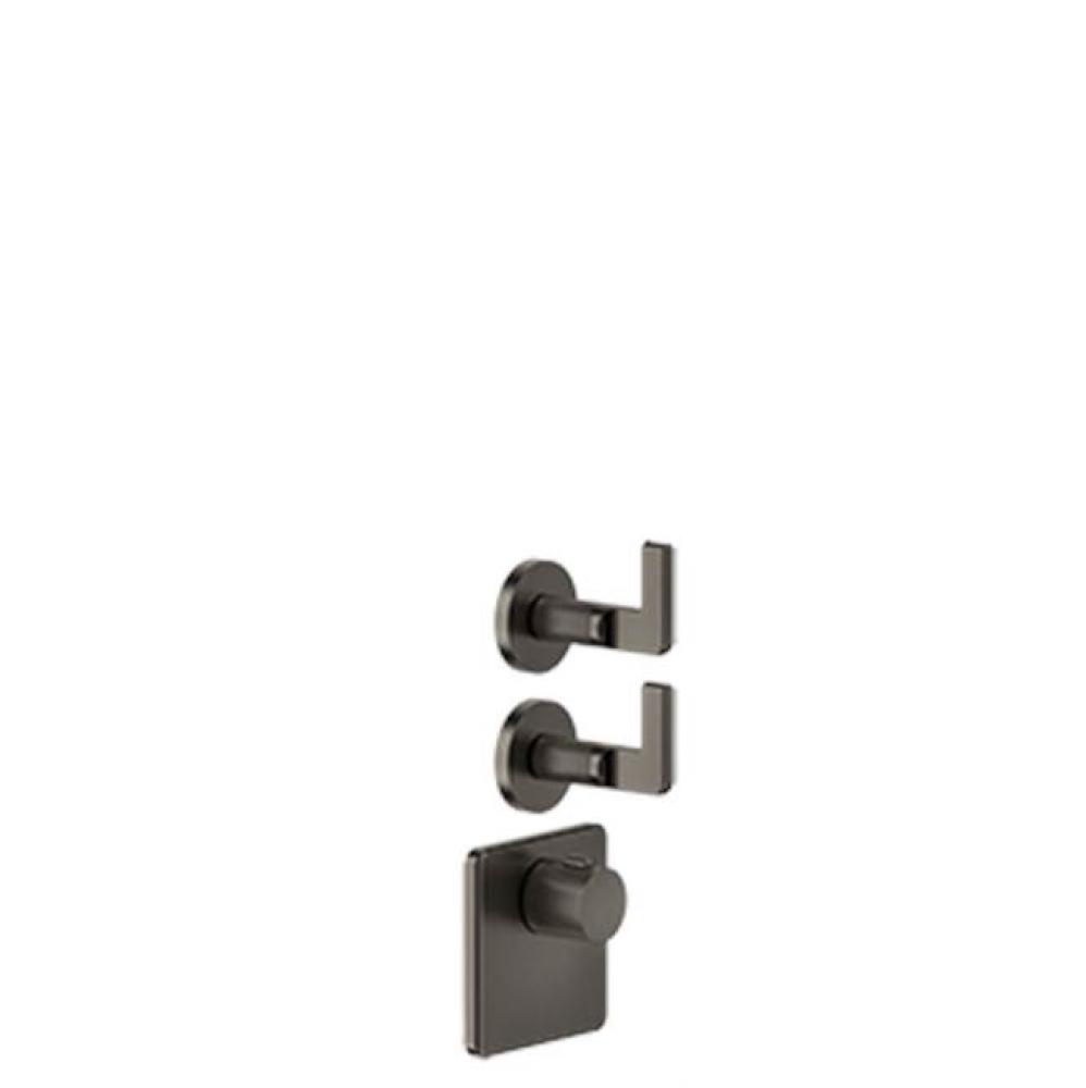 TRIM PARTS ONLY External parts for thermostatic with 2 volume controls