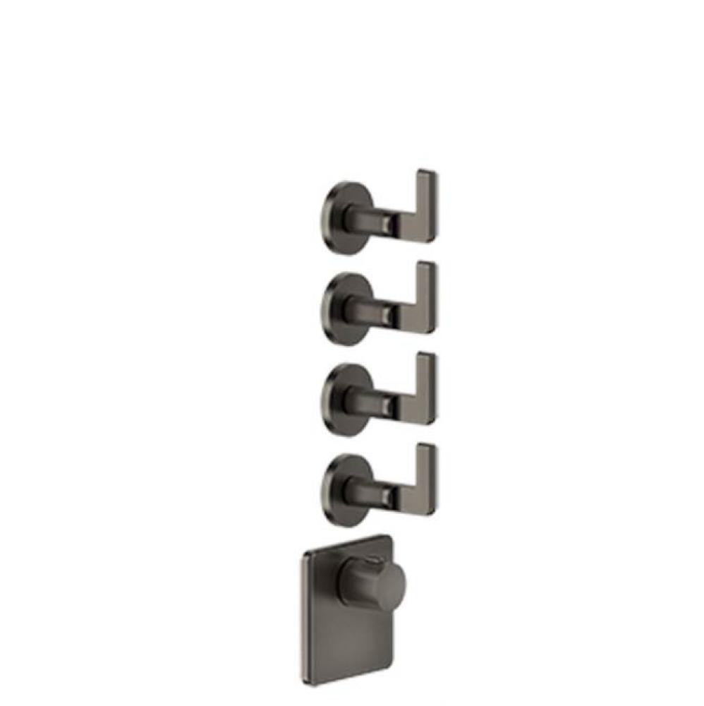 TRIM PARTS ONLY External parts for thermostatic with 4 volume controls