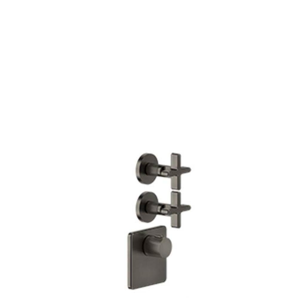 TRIM PARTS ONLY External parts for thermostatic with 2 volume controls