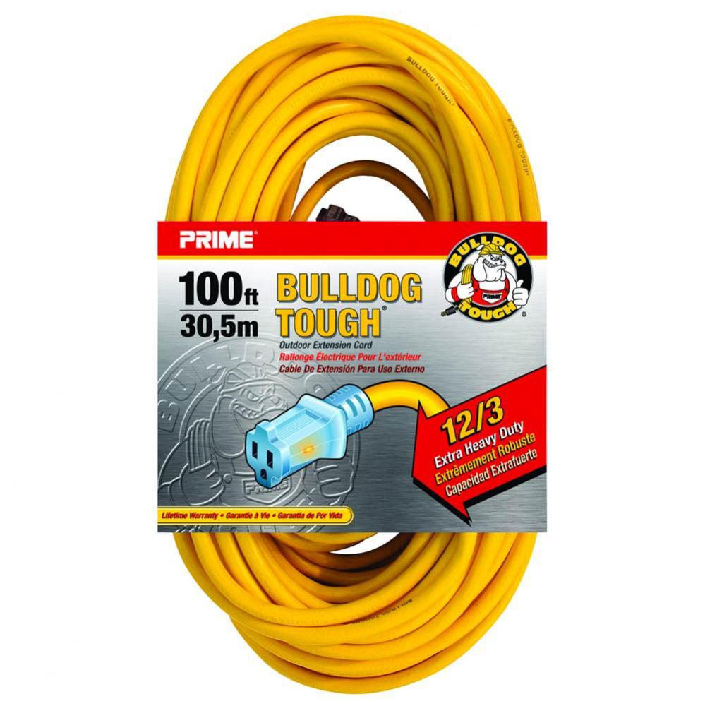 Extension Cord Hd Yellow 100Ft 12/3