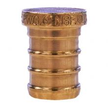 Legend Valve 460-403NL - 1/2'' PEX Plug No Lead/ DZR Forged Brass Fitting