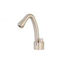 Lenova F-SS-OZ-C-PU - F-SS-OZ-C-PU Plumbing Kitchen Faucets