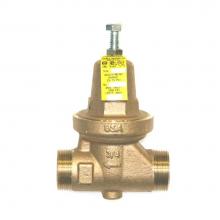 Mr. Steam 104198 - Pressure Reducing Valve For MS, MSSUPER, and SAH Residential Generators