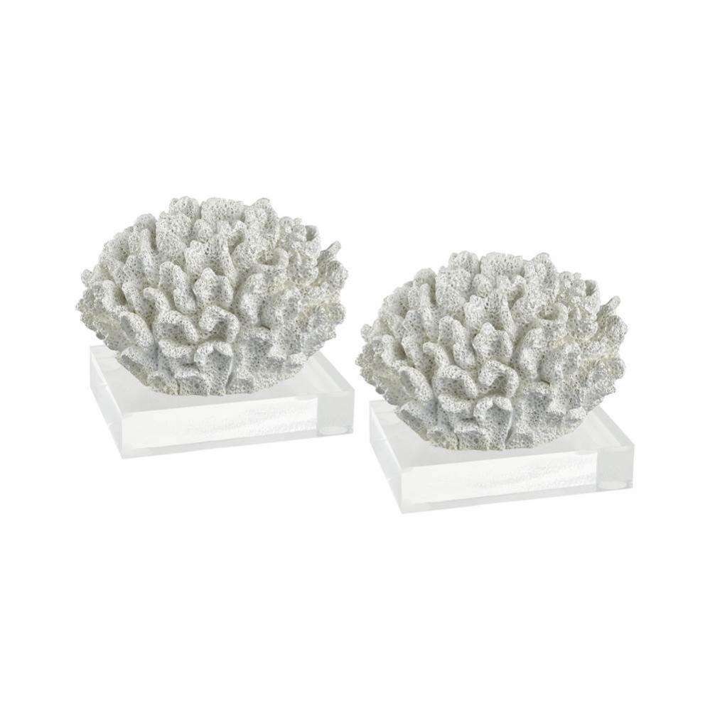 Great Reef Set of 2 Brain