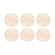 Pomeroy 020087/S6 - Fan Shell Set of 6 Spheres -