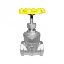 Red-White Valve 670779882079 - GATE STAINLESS STEEL IPS