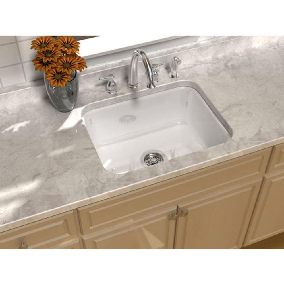 ELEGANTE?, 25''x22'' Undercounter, 1 Bowl Sink, 4 Faucet Holes, Color