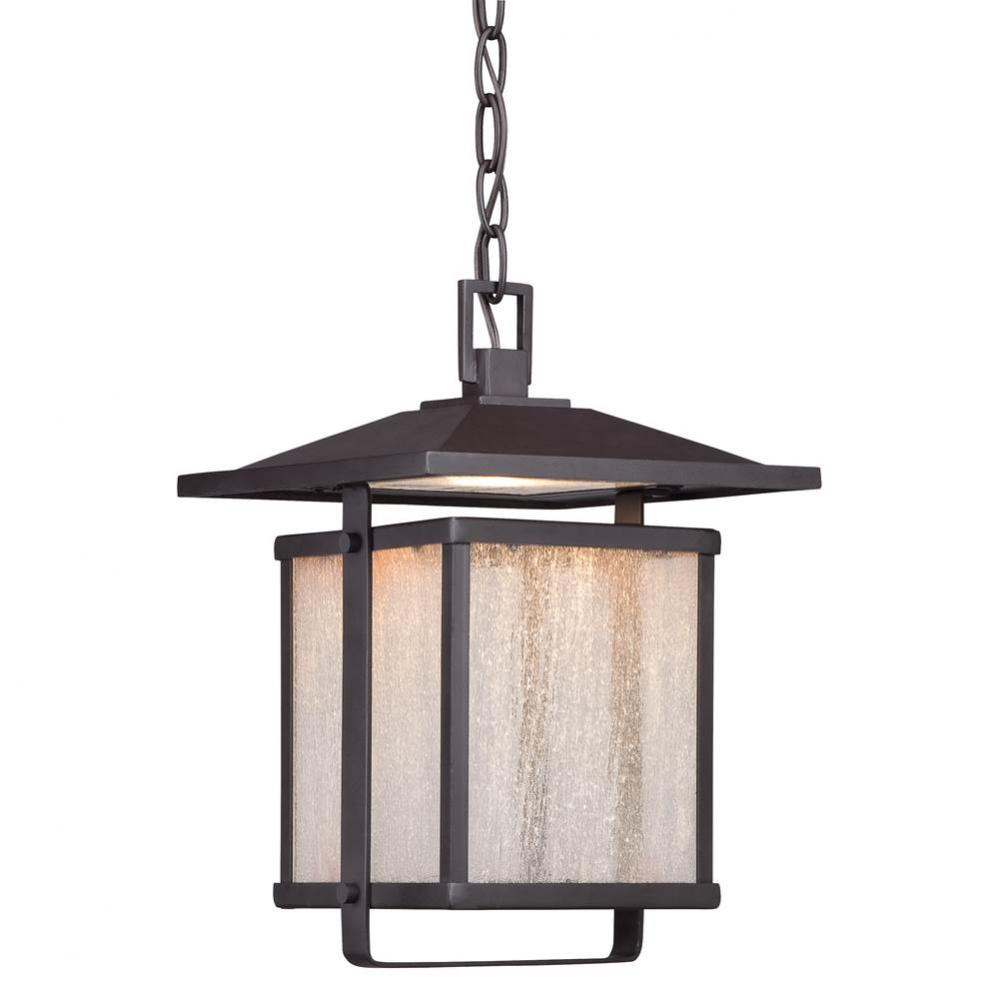 1 Light Outdoor Led Chain Hung Lantern