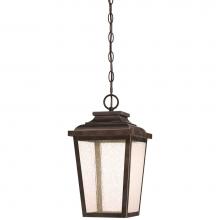 The Great Outdoors 72174-189-L - Outdoor Chain Hung Led