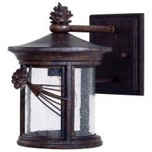 The Great Outdoors 9151-A357 - 1 Light Wall Mount