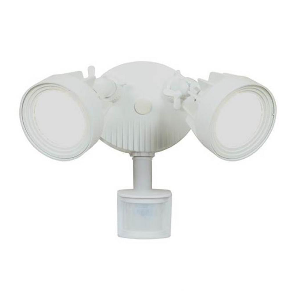 Security Spotlight with Motion Sensor