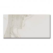 AKDO PO2314-1224M1 - Renaissance 12'' x 24'' Calacatta Gold (M)