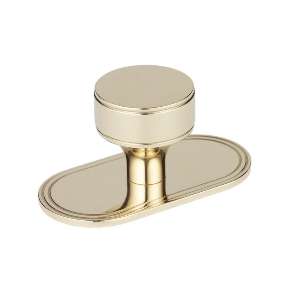 38mm Barwick Knob With Backplate Plain Pbul