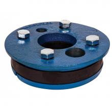 AY McDonald 6814-022 - 359S 6X1 1/4 Ci Well Seal (314)