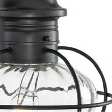 Norwell 1612-BL-PR - One Light Black Hanging Lantern