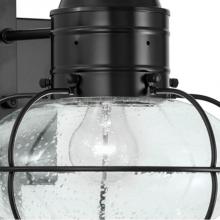 Norwell 1612-BL-SE - One Light Black Hanging Lantern