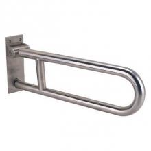 Pamex BGBSS-1430SWP - 30''X1-1/4'' PEENED SWING UP GRAB BAR