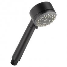 Brizo Canada RP61593BL - Handshower