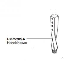 Brizo Canada RP75209PN - Handshower