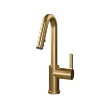 Rubi RLO91D2EJOR - Loft Kitchen Faucet Round Body ''J'' Spout 2 Jets Hand Spray Brushed Gold