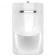 American Standard Canada 6516001EC.020 - Greenbrook® 0.125 - 0.5 gpf (0.47 - 1.9 Lpf) Top Spud Urinal with EverClean