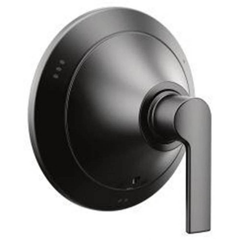 Matte black transfer transfer valve