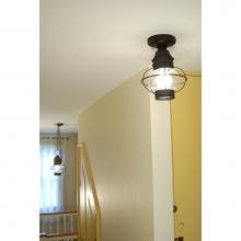 Northeast Lantern 2524-DB-MED-CLR - Caged Onion Flush Dark Brass Medium Base Socket Clear Glass