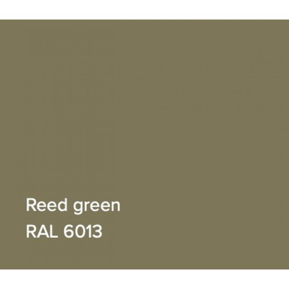 RAL Bathtub Reed Green Matte